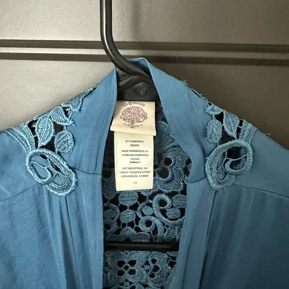 Blue Robe - Picture 2 of 3